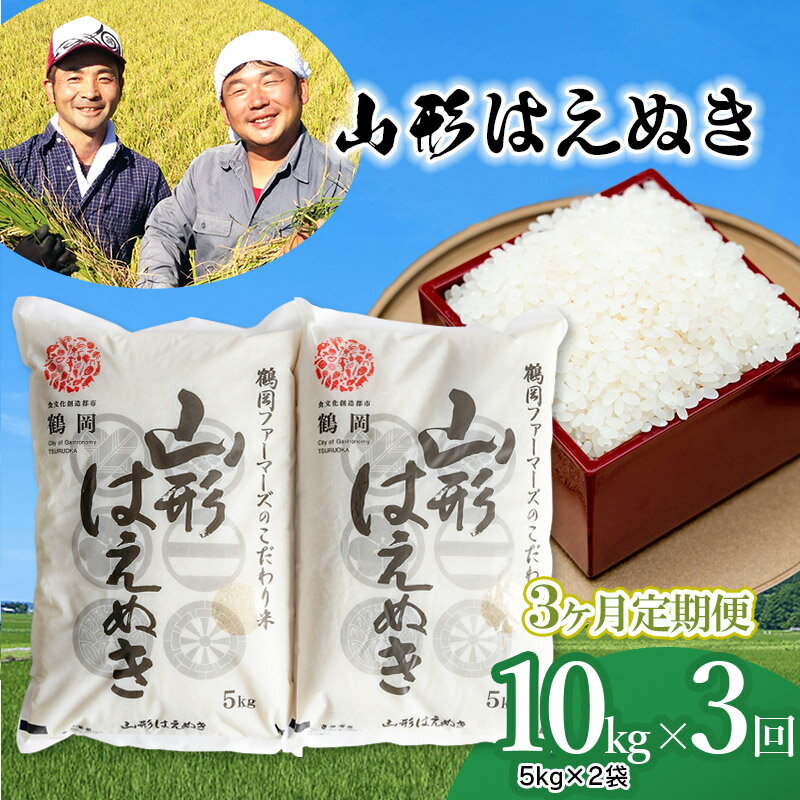 【令和6年産 先行予約】山形はえぬき 定期便 精米10kg(5kg×2袋)×3ヶ月　山形県鶴岡市産 一等米 2024年