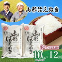 【ふるさと納税】【令和6年産 先行予約】山形はえぬき 定期便 精米10kg(5kg×2袋)×12ヶ月 山形県鶴岡市産 一等米 2024年