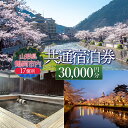 【ふるさと納税】山形県鶴岡市内共通宿泊券 【30,000円×1枚】 DEGAM鶴岡ツーリズムビューロー トラベル クーポン