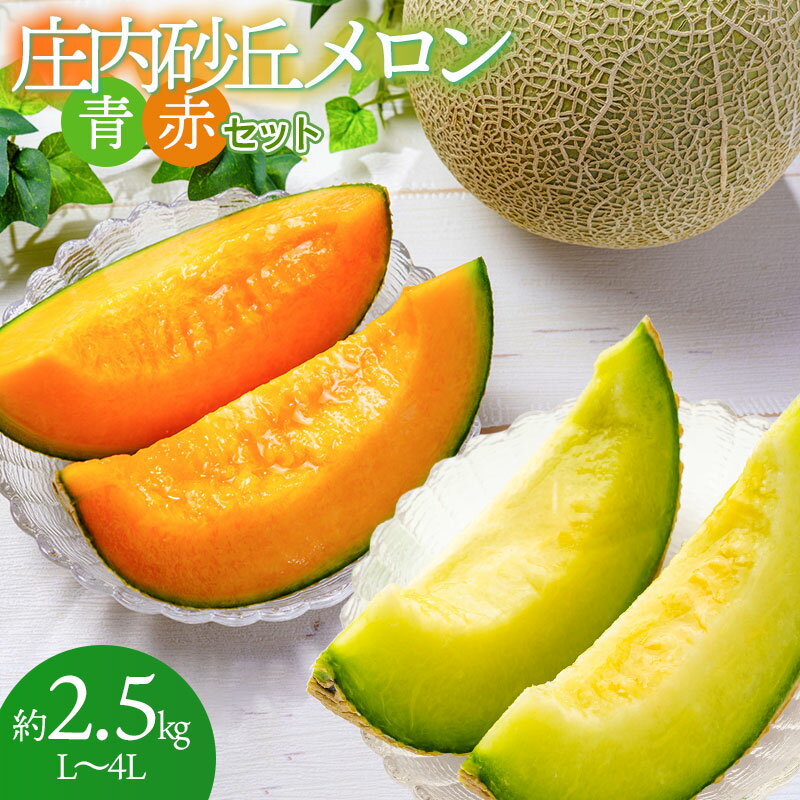 【ふるさと納税】【令和7年産先行予約】庄内砂丘メロン 青赤セット L~4L 約2.5kg入 山形県鶴岡市産
