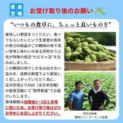 【ふるさと納税】限界鮮度！「産直空輸」で当日お届け！ 朝採れだだちゃ豆(枝豆) 【8月1日・6日・8日・13日・15日・20日配送】 1.08kg（180g×6袋）･･･ 画像1