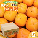 商品内容 内容量庄内柿 M～Lサイズ 約5kg(20個～24個入) 賞味期限生鮮品のため到着後はお早めにお召し上がりください。 提供事業者にこにこふぁーむ 発送方法常温発送 申込期日令和6年10月26日ご入金分まで 発送時期令和6年11月上旬～11月下旬頃 ※天候や発育状況により、発送期間が前後する場合がございます。 ※お申込み順に発送していきますので予めご了承ください。 ※お届け日のご指定はできません。 返品・交換について ◆返礼品の発送には万全を期しておりますが、到着後は必ずすぐに開封し中身の確認をお願いします。 ◆外装破損・水漏れ・異物・汚れ・誤配送など、異常があった場合はお早めにご連絡ください。当市の不備による初期不良・破損についての交換などの対応は、到着後1週間以内までとさせていただきます。 ◆到着後1週間を経過したものについての、返品・交換などの対応は一切お受けできませんので、予めご了承ください。 アレルギー特定原材料7品目および特定原材料に準ずる21品目は使用していません ※写真はイメージです。 ・ふるさと納税よくある質問はこちら ・寄附申込みのキャンセル、返礼品の変更・返品はできません。あらかじめご了承ください。こちらの返礼品は【令和6年産】の先行予約です。 発送時期：令和6年11月上旬～11月下旬 ※こちらの返礼品は【先行予約】です。発送時期について必ずご確認の上お申し込みください。 ※天候や生育状況などにより発送時期が前後する場合がございます。予めご了承ください。 ※お届け日のご指定はお受けできません。ご了承ください。 ※お申し込み後にお引越しなどでお届け先に変更が生じた場合は、お早めにご連絡をいただきますようお願いいたします。