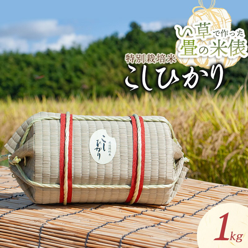 【令和6年産 先行予約】い草で作った畳の米俵 特別栽培米 コシヒカリ 1kg A36-001