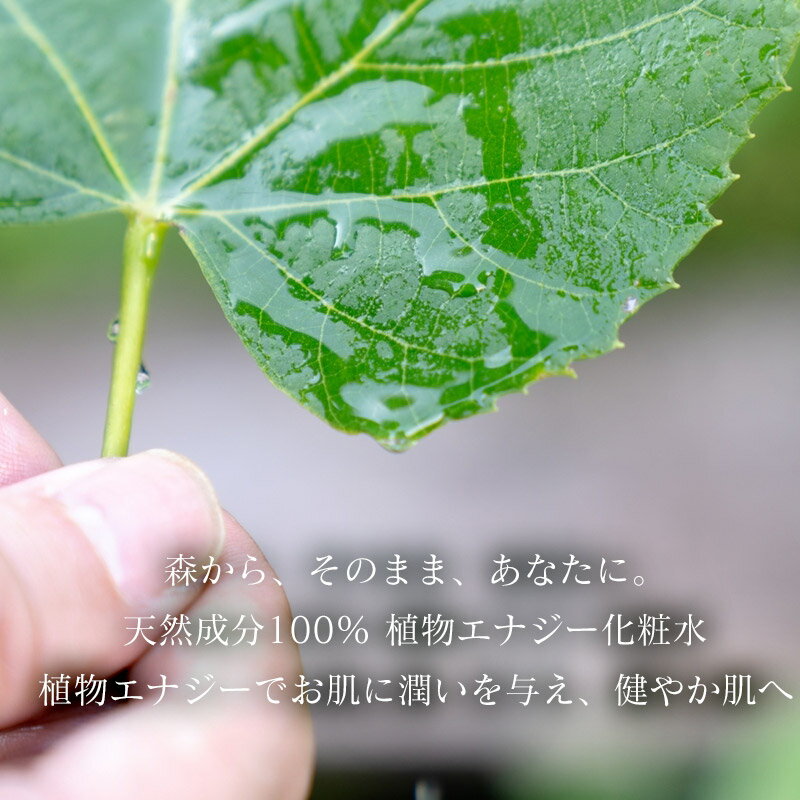 【ふるさと納税】【天然成分100%化粧水】umuしなの花水（80ml）　A75-801　羽越のデザイン企業組合