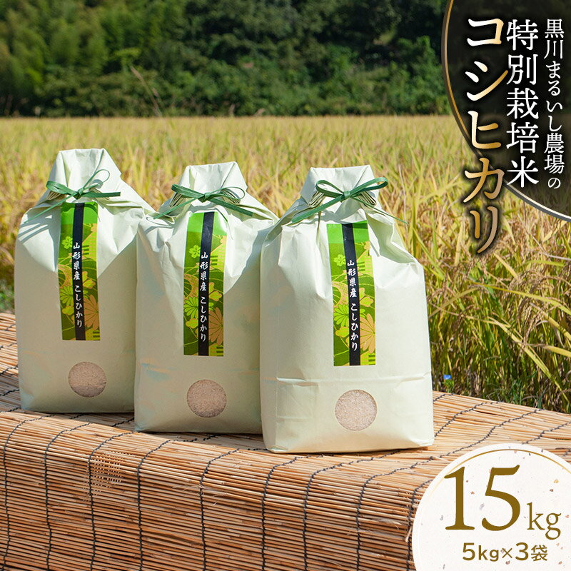 【令和6年産 先行予約】黒川まるいし農場の特別栽培米 コシヒカリ 15kg（5kg×3袋） B26-001