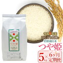 ばんどう農園の特別栽培米 つや姫5kg×6ヶ月　K-630