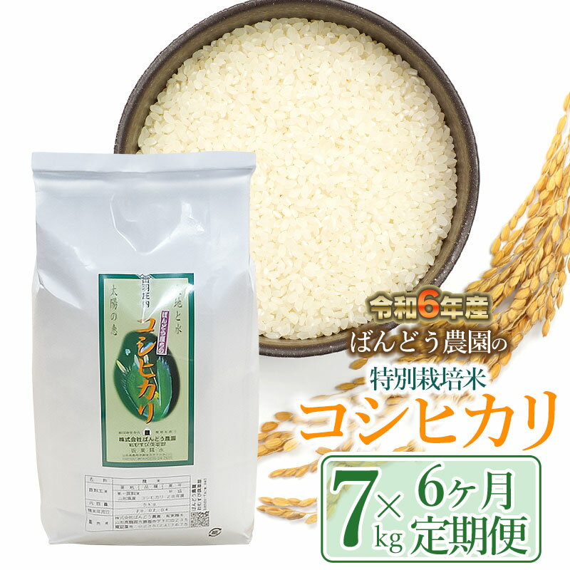 [令和6年産 先行予約][定期便6ヶ月]ばんどう農園の特別栽培米 コシヒカリ7kg×6ヶ月