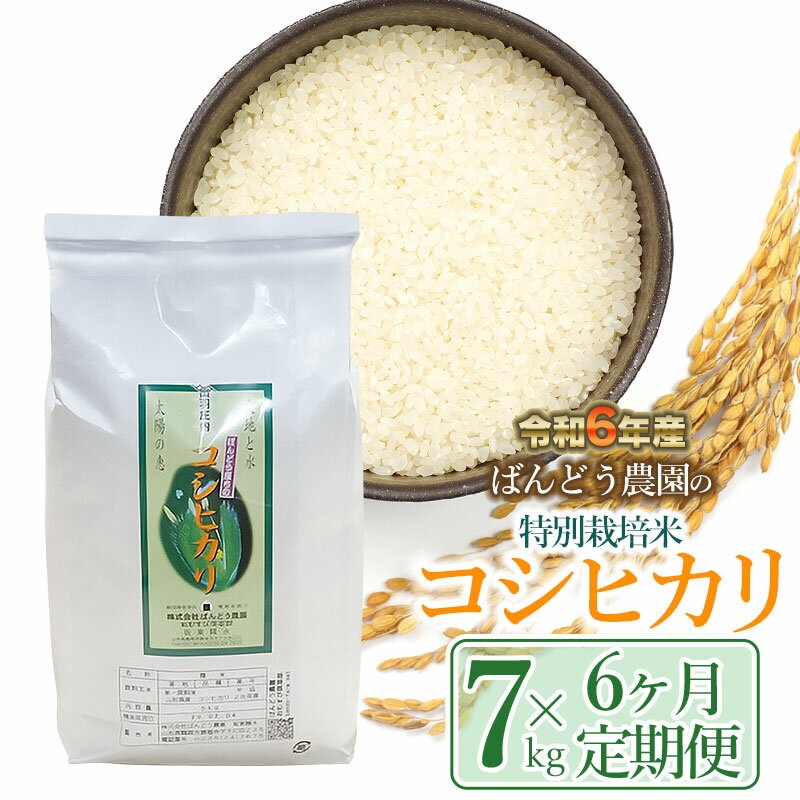 【ふるさと納税】【令和6年産 先行予約】【定期便6ヶ月】ばんどう農園の特別栽培米 コシヒカリ7kg×6ヶ月　K-630