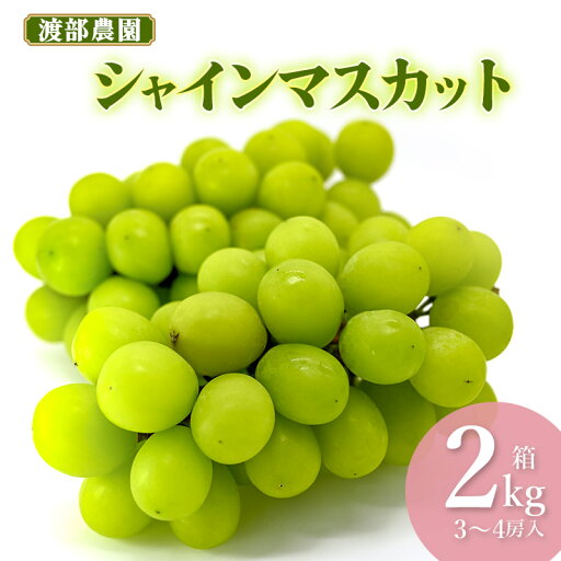 【ふるさと納税】【令和7年産先行予約】 シャインマスカット 約2kg(3〜4房) 白品種ぶどう 【ふるさと納税】【令和7年産先行予約】 シャインマスカット 約2kg(3〜4房) 白品種ぶどう
