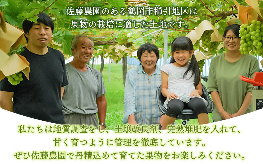 山形県鶴岡市の画像2