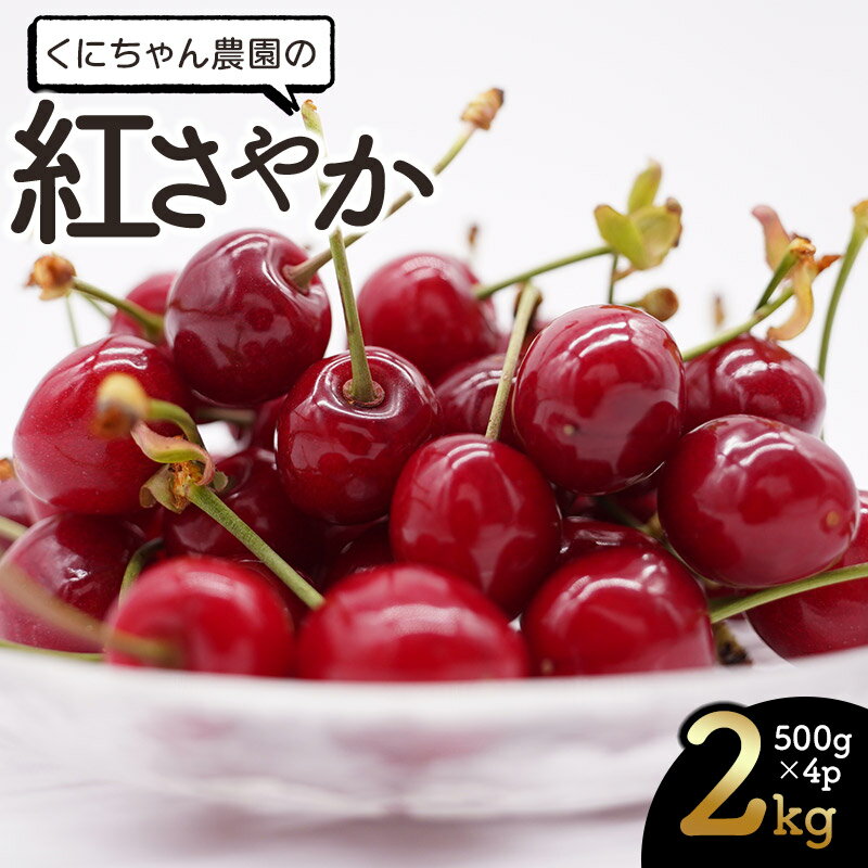 【ふるさと納税】さくらんぼ 紅さやか 2kg（500g×4パック）