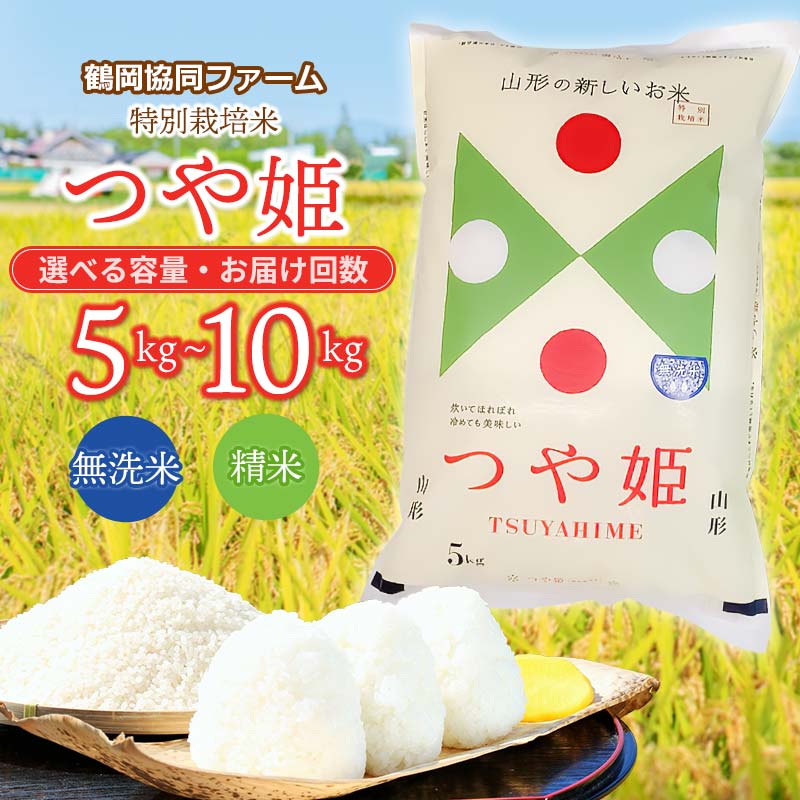 [令和6年産 先行予約]特別栽培米 つや姫 精米 又は 無洗米 5kg・7kg・10kg [選べる回数]6・12回 山形県鶴岡市産 | 楽天ふるさと 納税 つやひめ 白米 お米 ブランド米 おこめ お取り寄せ 定期便 山形県産 コメ こめ 庄内米 美味しい