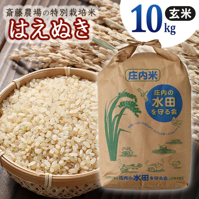 [令和5年産]斎藤農場の特別栽培米 はえぬき玄米 10kg(10kg×1)A05-013