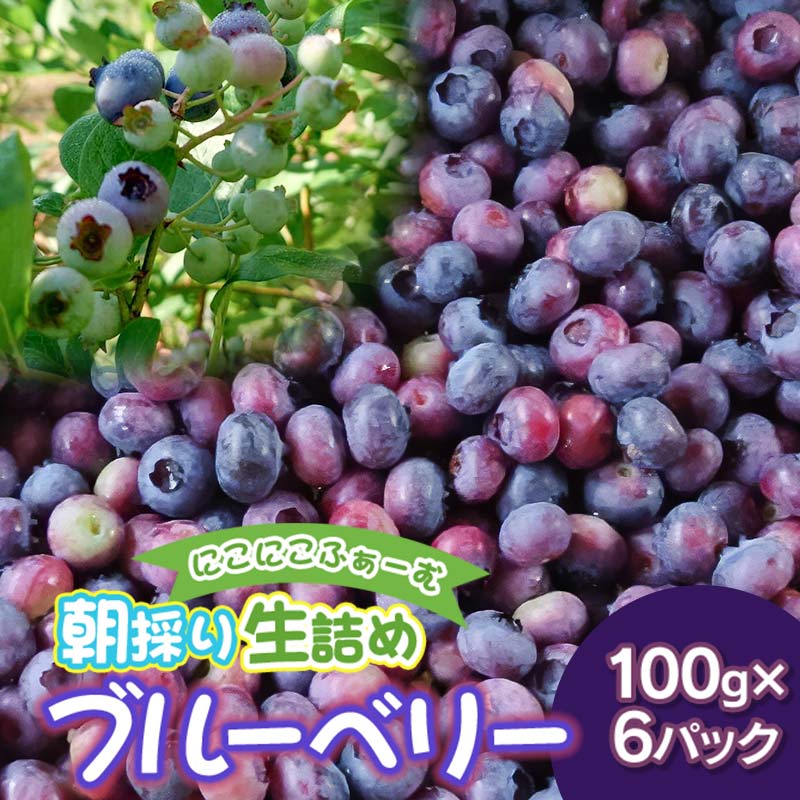 【ふるさと納税】【令和6年産 先行予約】にこにこふぁーむの朝採り生詰めブルーベリー100g×6パック　K-639