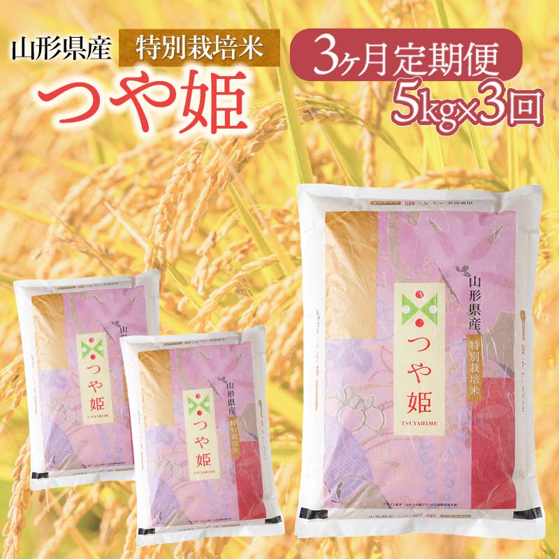 【ふるさと納税】【新米】特別栽培米　山形県産 つや姫【3ヶ月定期便】　精米5kg×3回　庄内観光物産館