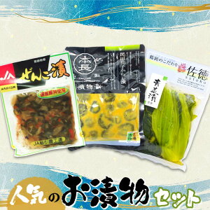 【ふるさと納税】庄内観光物産館　人気のお漬物セット （ぜんご漬け・民田茄子からし漬・青菜漬）