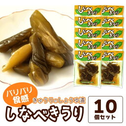 【ふるさと納税】しなべきうり10個セット 庄内観光物産館