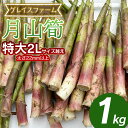 【ふるさと納税】月山筍 特大 1kg 山形県鶴岡産 グレイスファーム