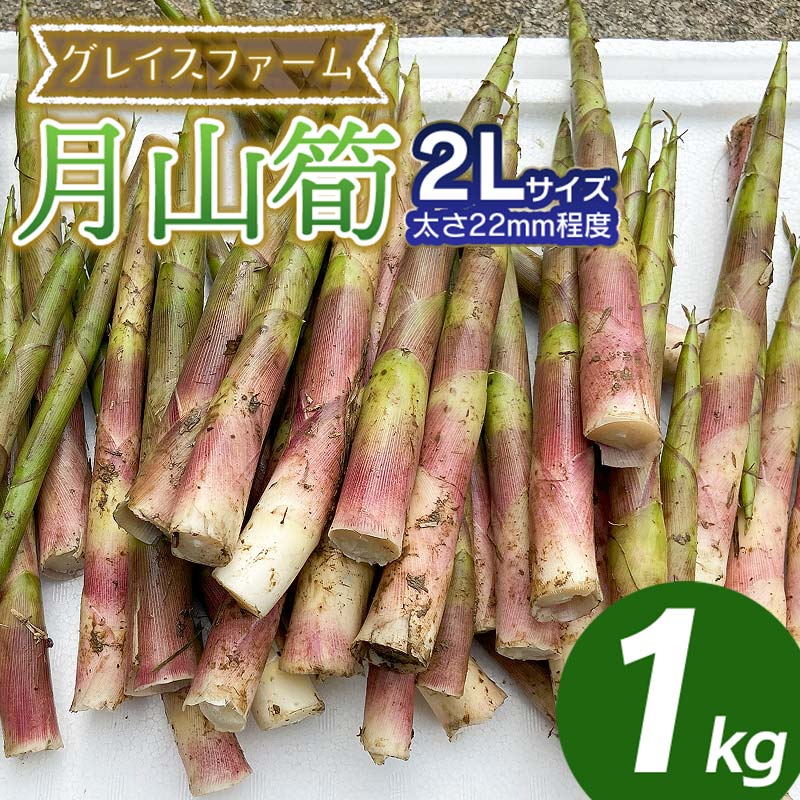 全国お取り寄せグルメ山形その他の野菜No.22