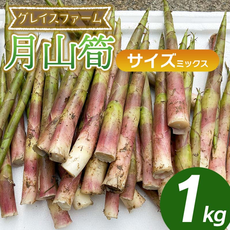 全国お取り寄せグルメ山形その他の野菜No.24