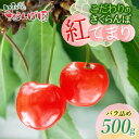 【ふるさと納税】【令和6年産先行予約】こだわりのさくらんぼ「紅てまり」バラ詰め 500g いまいのさ ...