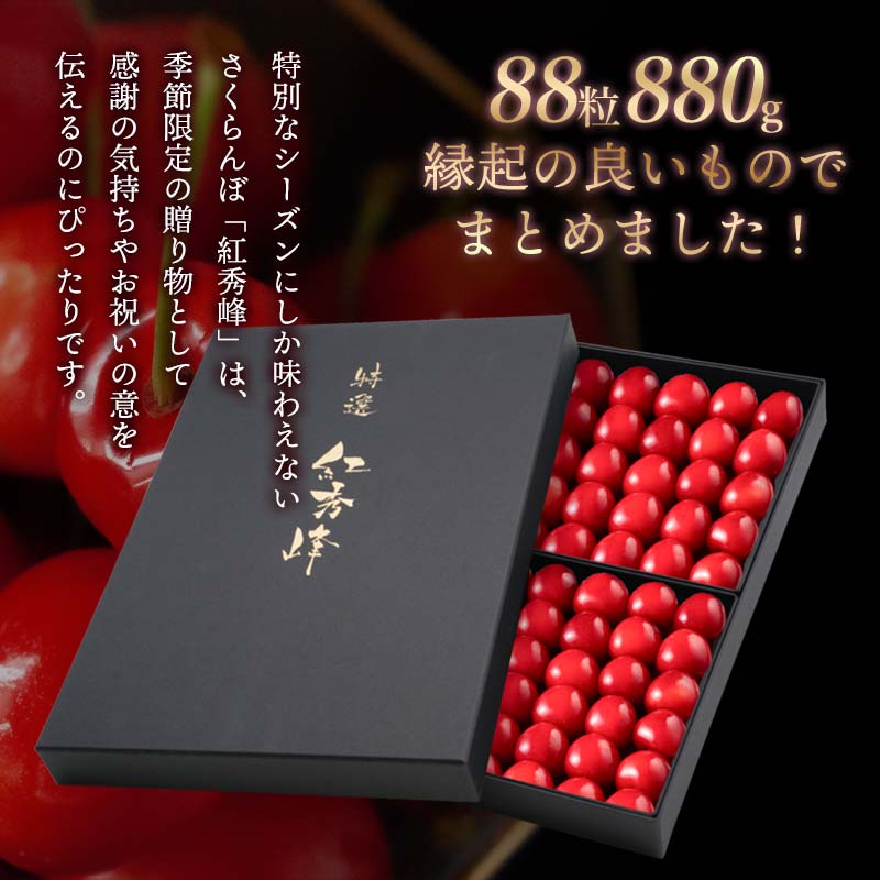 【ふるさと納税】【令和6年産先行予約】【贈答用】さくらんぼ「紅秀峰」 880g いまいのさくらんぼ園 C46-602