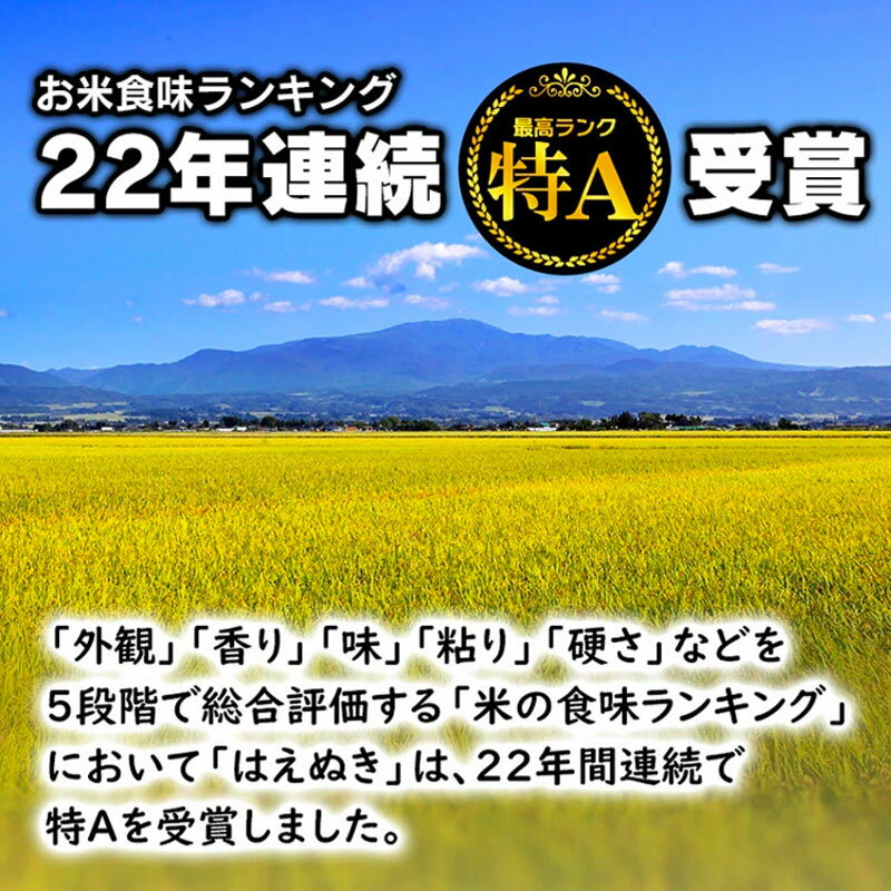 【ふるさと納税】令和5年産 無洗米 はえぬき 5kg×1袋 JA庄内たがわ 山形県鶴岡市産 | 返礼品 5キロ お取り寄せ ブランド米 白米 精米 東北