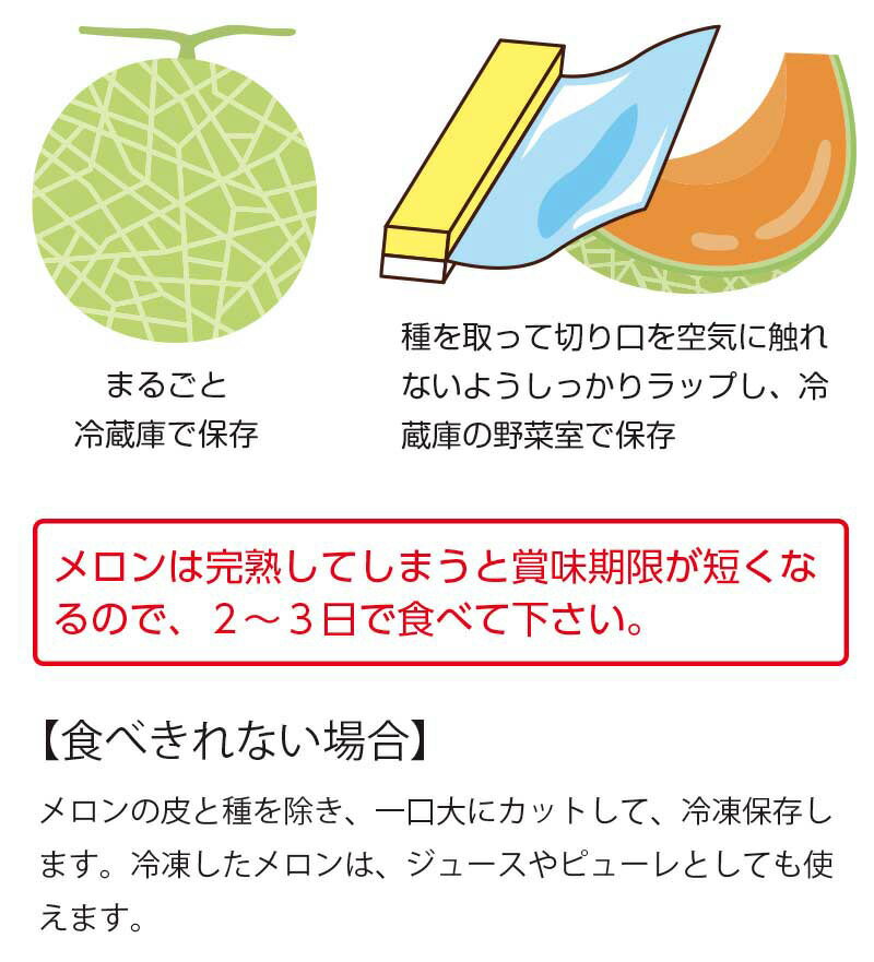 【ふるさと納税】【令和6年産 先行予約】鶴姫レッドメロン(赤肉)秀品4L〜2L 約5kg(3玉〜5玉) A46-601 | 山形県 鶴岡市 山形 鶴岡 返礼品 支援 フルーツ 果物 くだもの お取り寄せグルメ 取り寄せ グルメ 赤肉メロン めろん 特産品 名産品 国産 果実 3