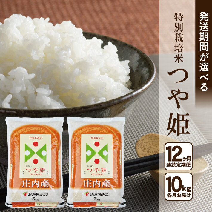 【ふるさと納税】≪12ヶ月定期便≫ 特別栽培米 つや姫 10kg×12ヶ月 計120kg 山形県庄内産 ご希望期間の毎月下旬頃にお届け 東北 酒田市 庄内地方 庄内平野 お米 精米 白米 ブランド米 庄内米 ごはん ご飯 農協 JA 産地直送のサムネイル