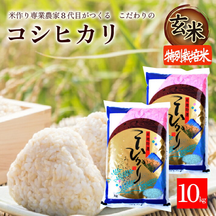 楽天市場】特別栽培米 玄米 10kgの通販 楽天市場】特別栽培米 玄米 10kgの通販