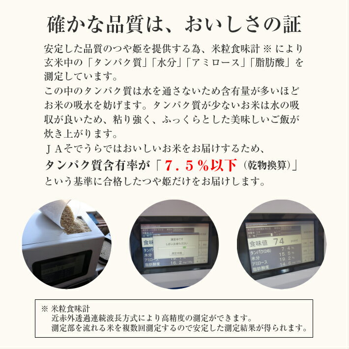 【ふるさと納税】≪新米予約≫ 特別栽培米 つや姫 15kg (5kg×3袋） 令和4年産米 山形県産 ご希望の時期頃にお届け 米 庄内米