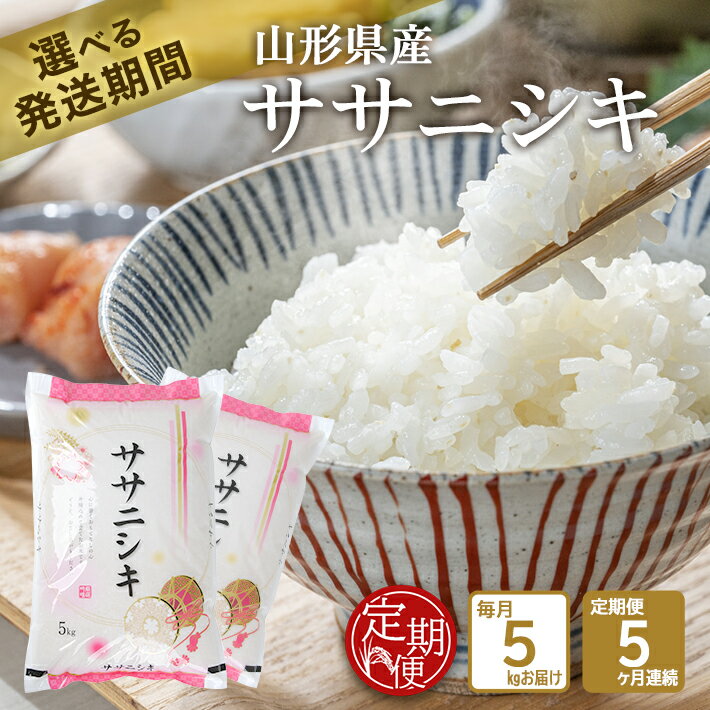 【ふるさと納税】≪定期便≫ ≪新米予約≫ ササニシキ 5kg×5ヶ月 計25kg 令和4年産米 山形県産 毎月下旬お届け 米 お米 白米 精米 庄内米 ささにしき 連続定期便 5回 分割 小分け 東北 山形県 酒田市 庄内 JA 農協