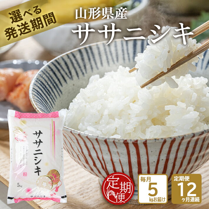 【ふるさと納税】≪新米予約≫≪12ヶ月定期便≫ ササニシキ 5kg×12ヶ月 計60...