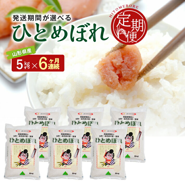 120位! 口コミ数「1件」評価「5」≪6ヶ月定期便≫ ひとめぼれ 5kg×6ヶ月連続 計30kg 山形県産 ご希望期間の毎月中旬頃お届け 農協 JA 米 お米 精米 ごはん 白米 東北 酒田市 庄内 6回