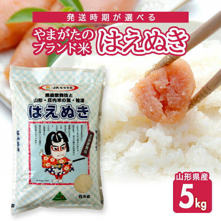 はえぬき 5kg 山形県産 令和7年産米 ご希望の時期頃お届け 農協 JA 米 お米 精米 白米 ごはん 東北 酒田市 庄内 発送時期が選べる
