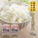 ひとめぼれ 計10kg 5kg×2袋 令和5年産 山形県酒田産 「産地限定 升田の米」 お米 精米 庄内米 白米 東北 山形県 酒田市 庄内地方