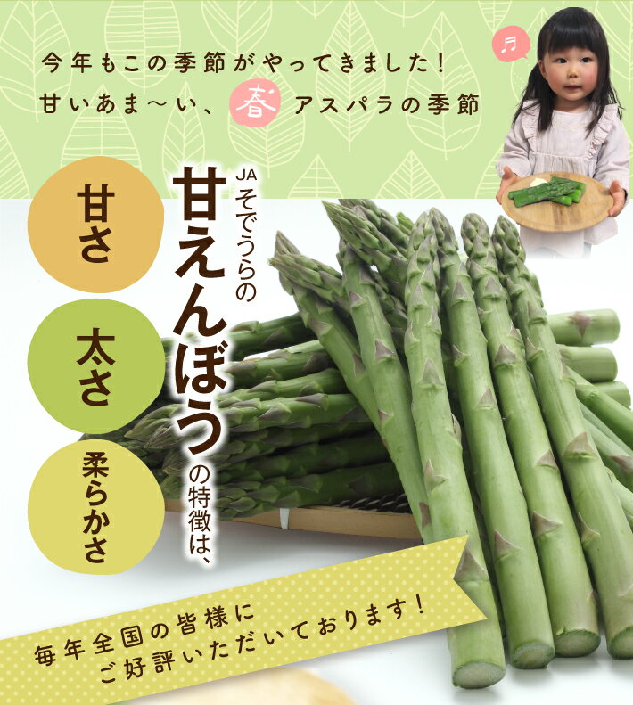 【ふるさと納税】グリーンアスパラガス 砂丘育ちの甘えんぼう 1.3kg 山形県酒田産 3月下旬〜5月中旬頃お届け 冷蔵便 ※離島発送・着日指定不可 アスパラガス アスパラ 野菜 春野菜 春 朝採り 朝採れ 新鮮 農協 JA 直送 東北 山形県 酒田市 庄内