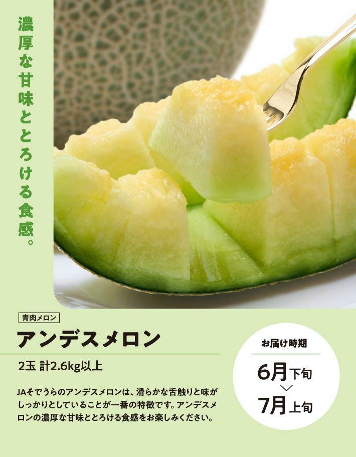 山形県酒田市の画像3