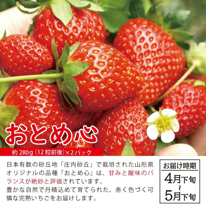 山形県酒田市の画像2