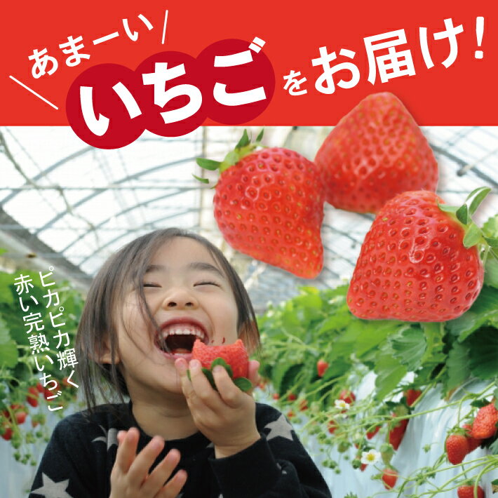 山形県酒田市の画像2