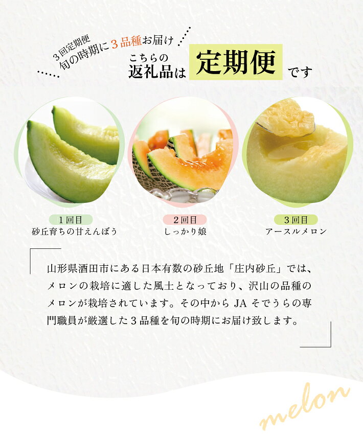 山形県酒田市の画像3