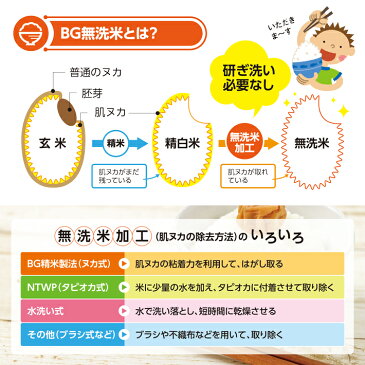 【ふるさと納税】無洗米はえぬき 5kg×3袋 計15kg 令和元年産米 山形県産 ※着日指定不可