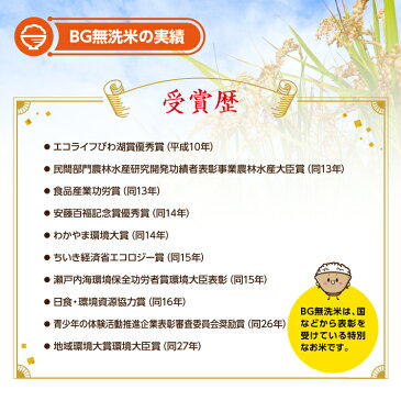 【ふるさと納税】無洗米はえぬき 5kg×3袋 計15kg 令和元年産米 山形県産 ※着日指定不可