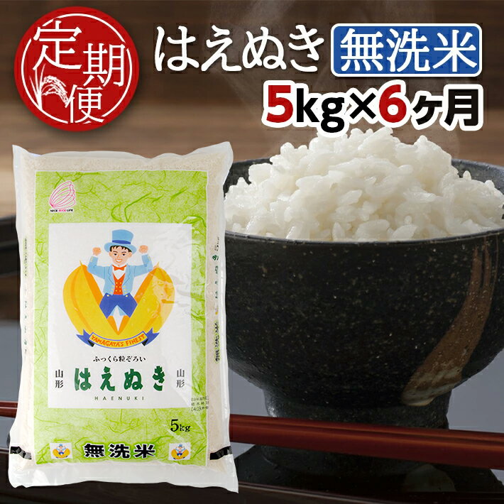 【ふるさと納税】≪6ヶ月定期便≫ 無洗米 はえぬき 5kg×6ヶ月連続 合計30kg 山形県産 毎月下旬にお届け 酒田市 お米 精米 白米 連続定期便 簡単 手軽 東北食糧 BG無洗米 HACCP