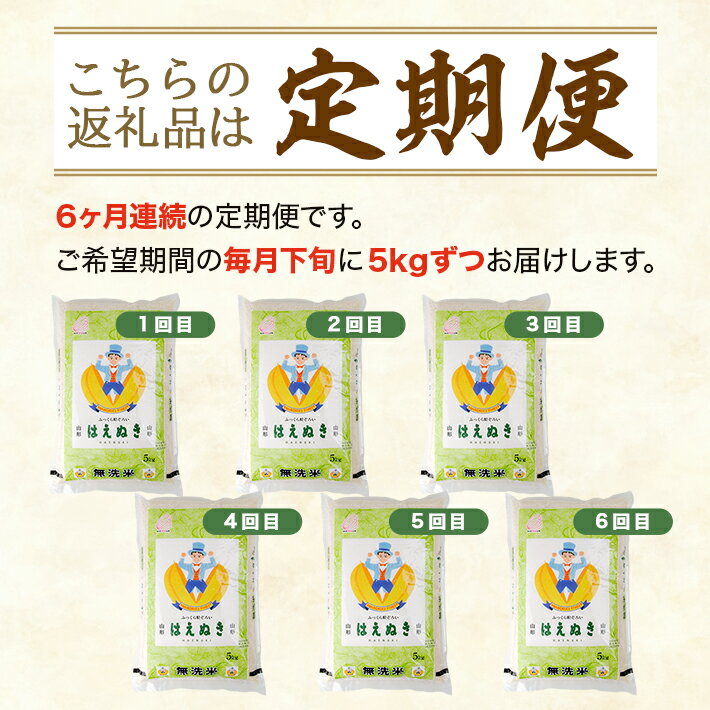 【ふるさと納税】≪6ヶ月定期便≫ 無洗米 はえぬき 5kg×6ヶ月連続 合計30kg 山形県産 毎月下旬にお届け 酒田市 お米 精米 白米 連続定期便 簡単 手軽 東北食糧 BG無洗米 HACCP