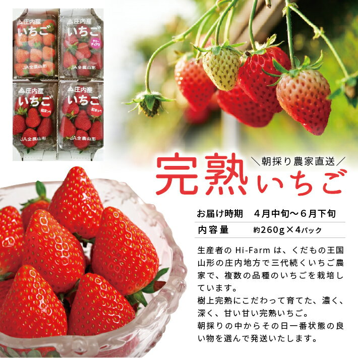 山形県酒田市の画像3