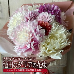 【ふるさと納税】とれたて 酒田のダリアの花束