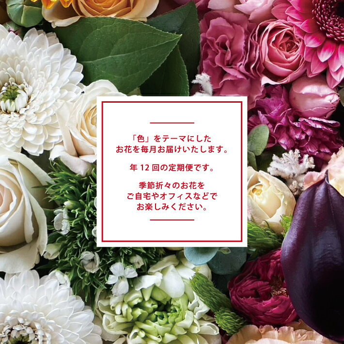 【ふるさと納税】≪12ヶ月定期便≫ デザイナーズブーケ 「COLORS BOUQUET12」 年12回 お申込み翌月から毎月お届け