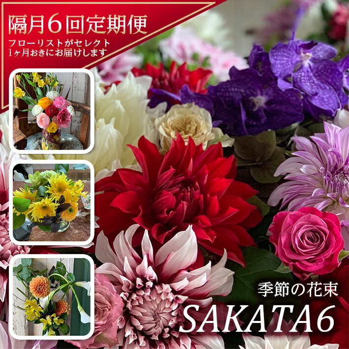 ڤդ뤵Ǽǡַۢ6آ Ĥβ«ֵβ«SAKATA6 ǯ6 ַϤ ΥȯԲ ڤ ե...