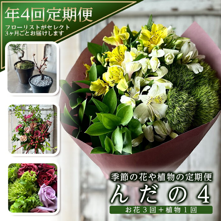 【ふるさと納税】≪4回定期便≫ お花や緑の定期便 「季節の花や植物の定期便 んだの4」 年4回 お申込み翌月から3ヶ月ごと4回のお届け ※離島発送不可